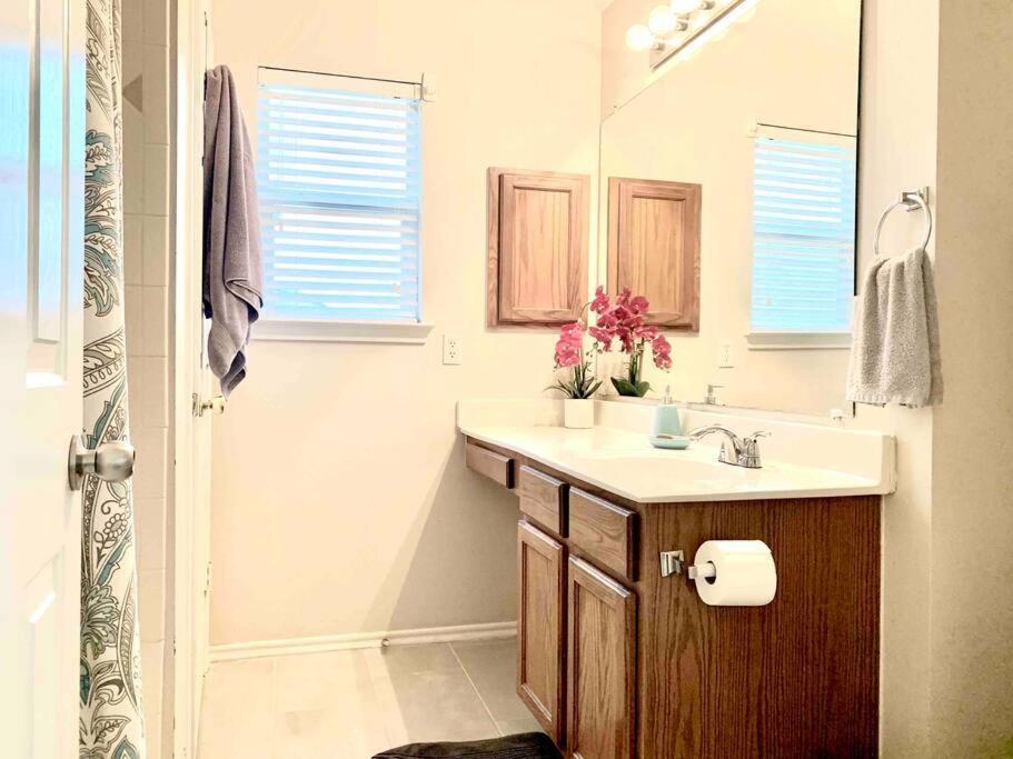 Modern Updates - Great Location - King Bed- Bmt San Antonio Exteriér fotografie